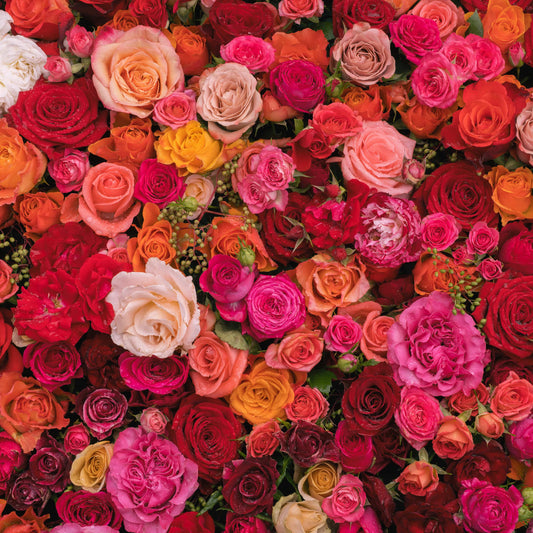 Rosas